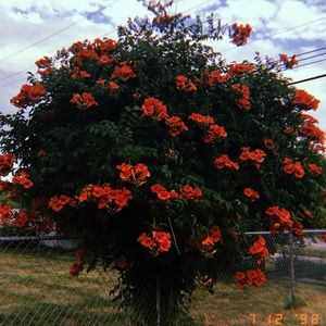 Meet your Posher, Cierra